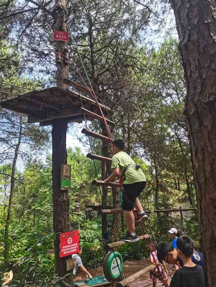 重庆飞越丛林探险乐园(玉峰山园区)-"国庆节为了满足小朋友心心念念已