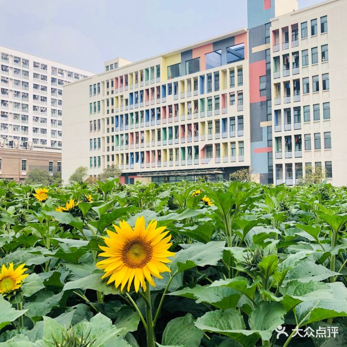 浙江传媒学院图片 - 第29张