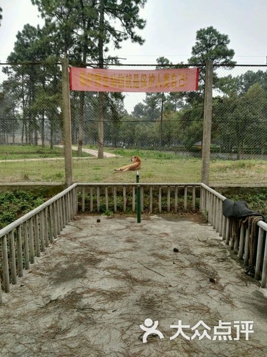 大武汉旅游卡(武汉景区旅游年卡)-图片-武汉生