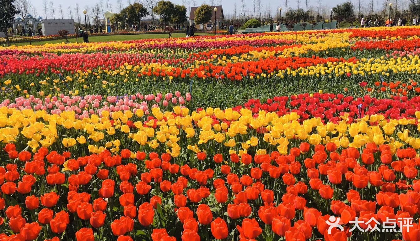 春天是看花的季节,每年四五月期间,位于北京国际鲜花港