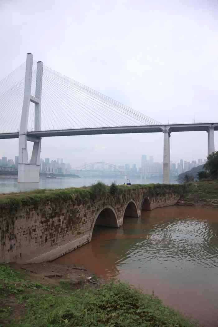 大佛寺长江大桥-"昨天去木洞河街看格桑花,才经过的这里,要.