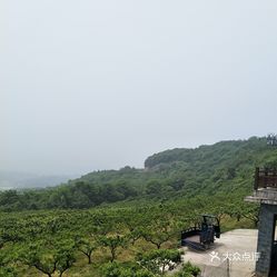 圣峰果业