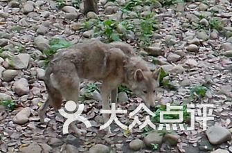 黄山祁门县附近好玩的,好玩的地方-黄山