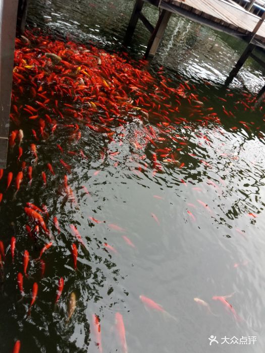 从东湖坐地铁跨越到解放公园现在已经清园了