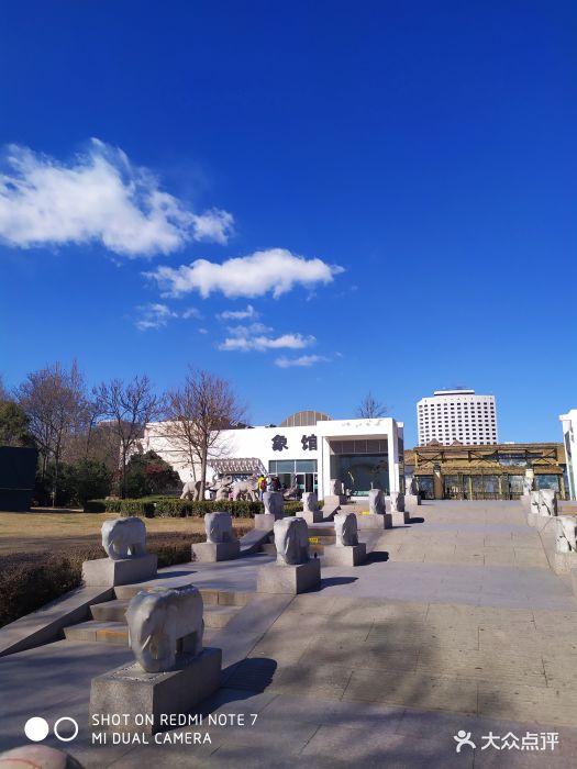 上午一直刮大风,吹走了雾霾,赶紧带娃出来.-北