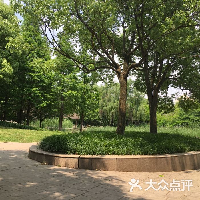 庙行公园