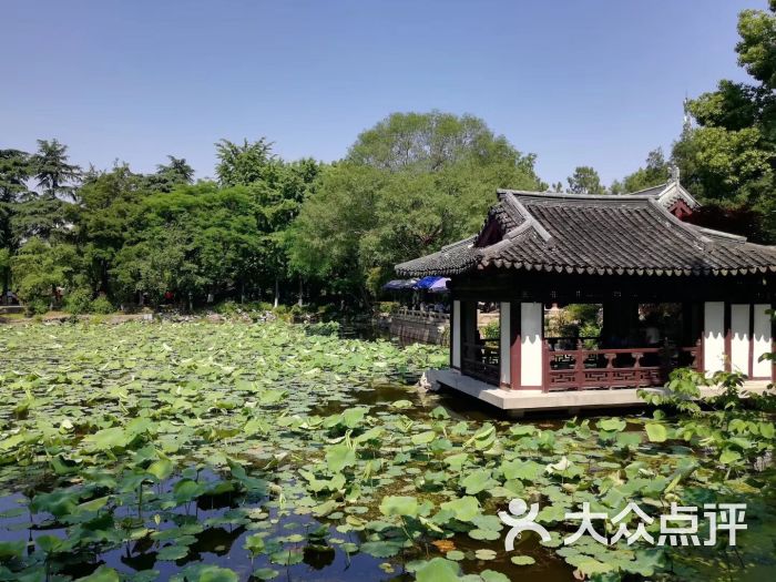 莲花庄公园-图片-湖州周边游-大众点评网