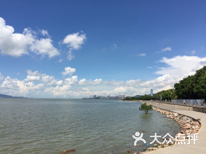 红树林海滨公园-景点图片-深圳周边游-大众点评网