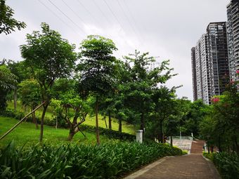 深圳永湖地铁站景点/周边游-大众点评网