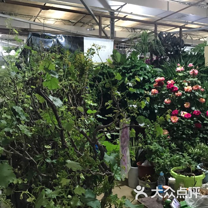 朝来春花卉市场图片-北京花店-大众点评网