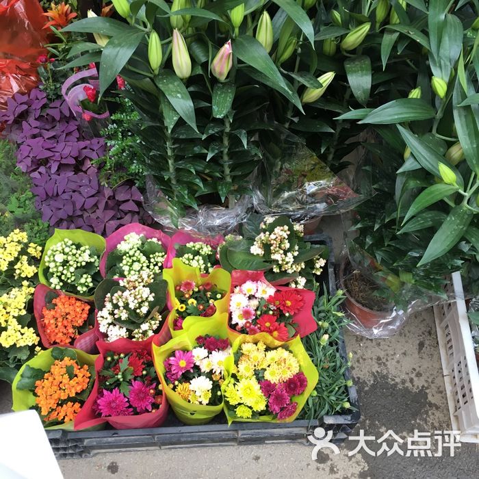 海卉花市图片-北京花店-大众点评网