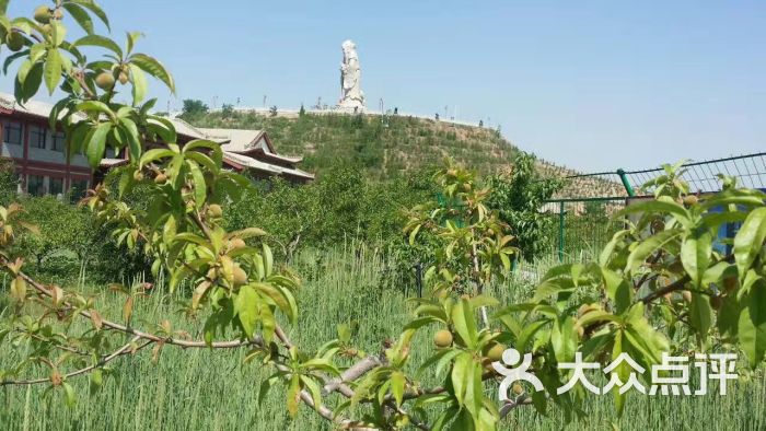 仁寿山-图片-永登县周边游-大众点评网