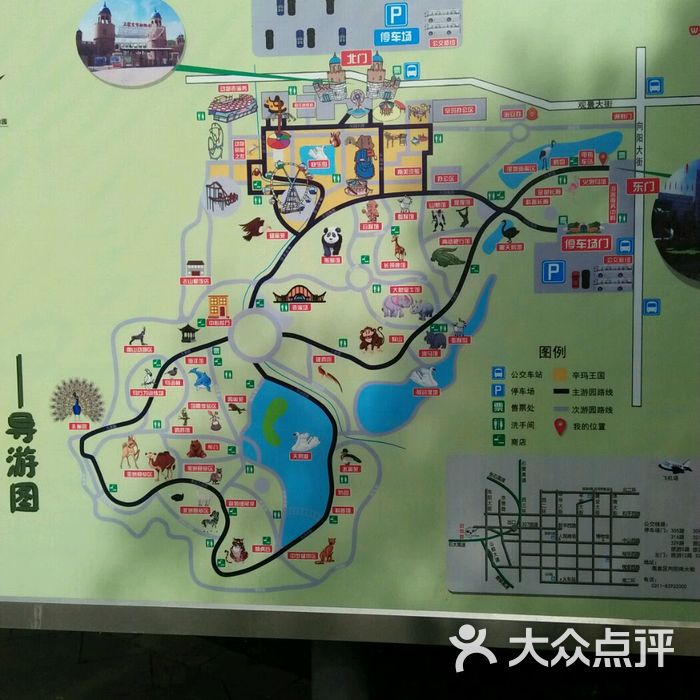 石家庄动物园图片-北京动物园-大众点评网