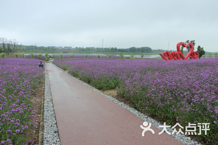 西京湾花海-图片-苏州周边游-大众点评网