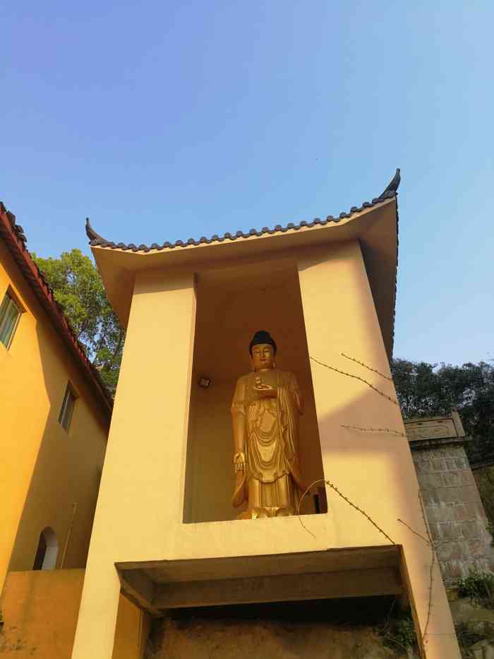 慈溪市宝林寺-"环境不错,人非常多,空气清新,这个寺院