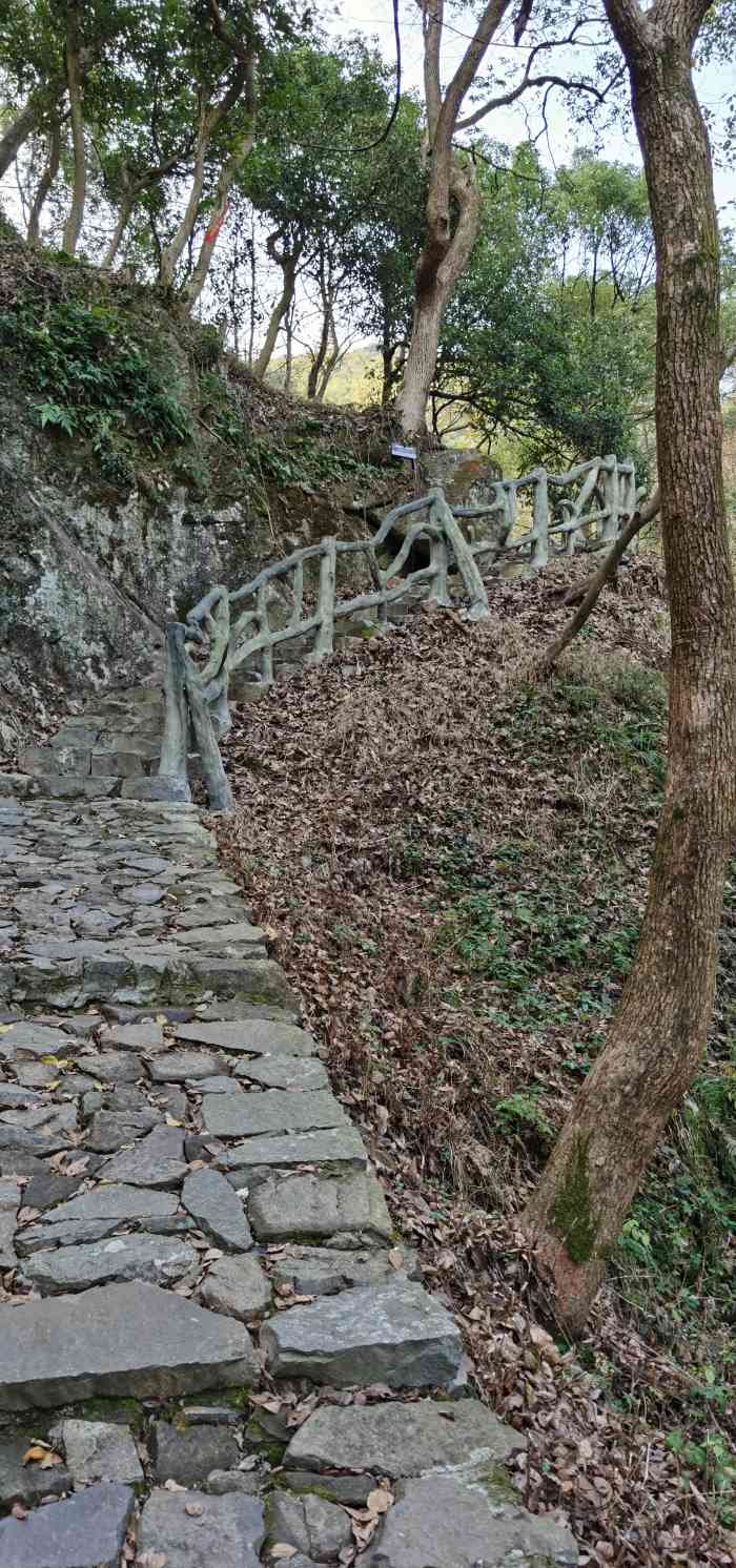 龙鹫登山步道-""诗里画里,深溪等你"——龙鹫登山步道