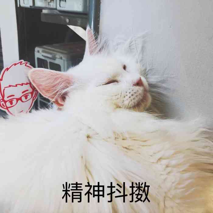 猫主题·就是这样的喵(天河店)