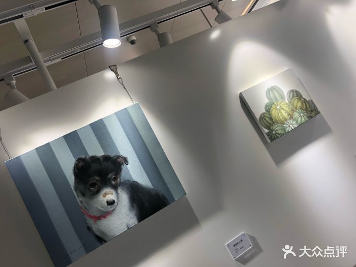 2018.5.4iPhone拍摄,vsco滤镜A6。去明谦咖.