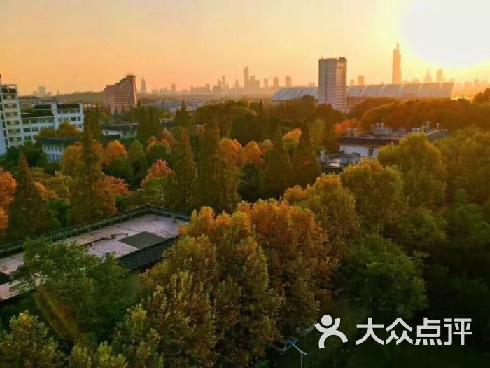 南京林业大学图片 - 第13张