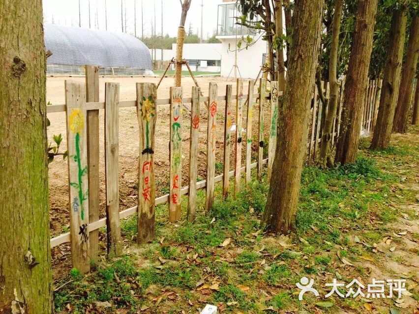 前小桔创意农场图片 第6张