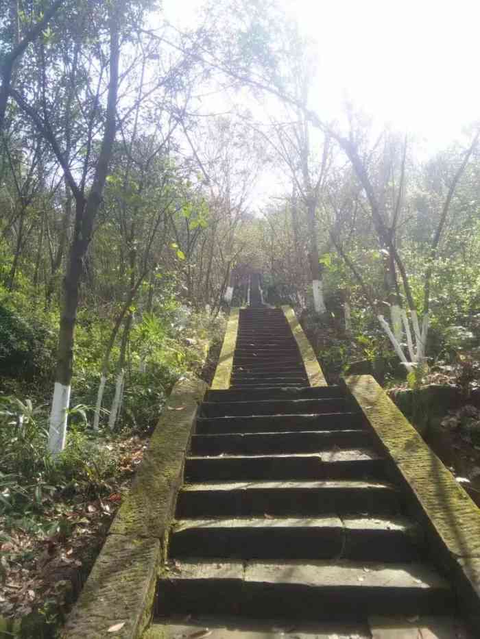 龙角山-"龙角山景区位于蓬安新县城西北部,与周子古.