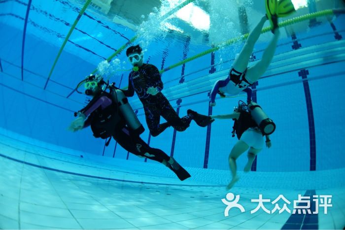龙泰潜水俱乐部学院(奥林匹克游泳跳水馆店)图片 第14张