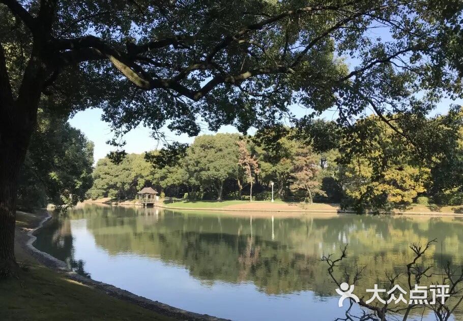 上海西郊宾馆图片-北京五星级酒店-大众点评网