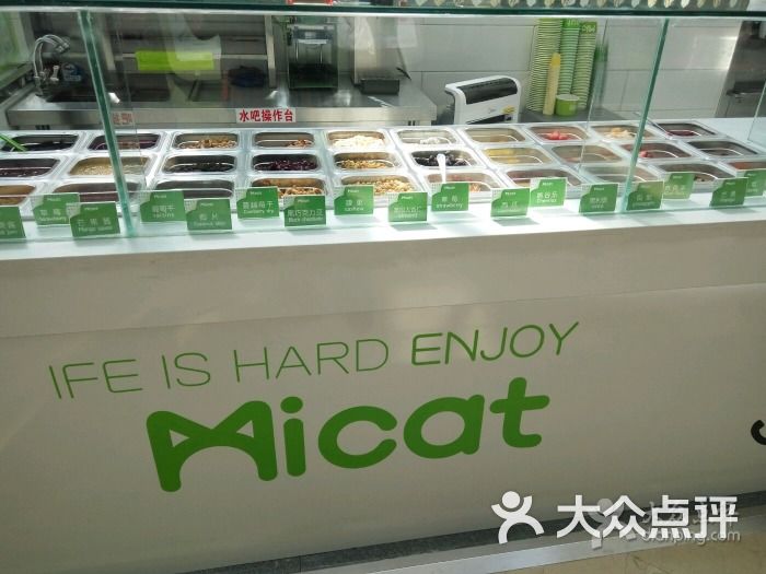 Micat 薄荷猫美式冻酸奶(万达店)-图片-银川美食