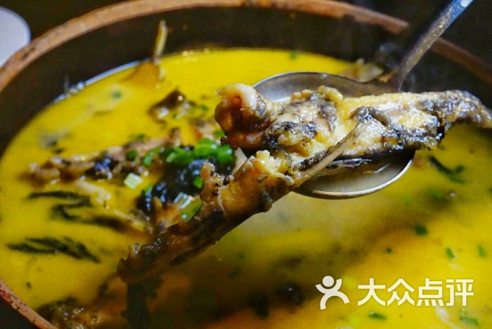 寨子里的钵钵菜-清炖野生岩骨鱼图片-张家界美食-大众
