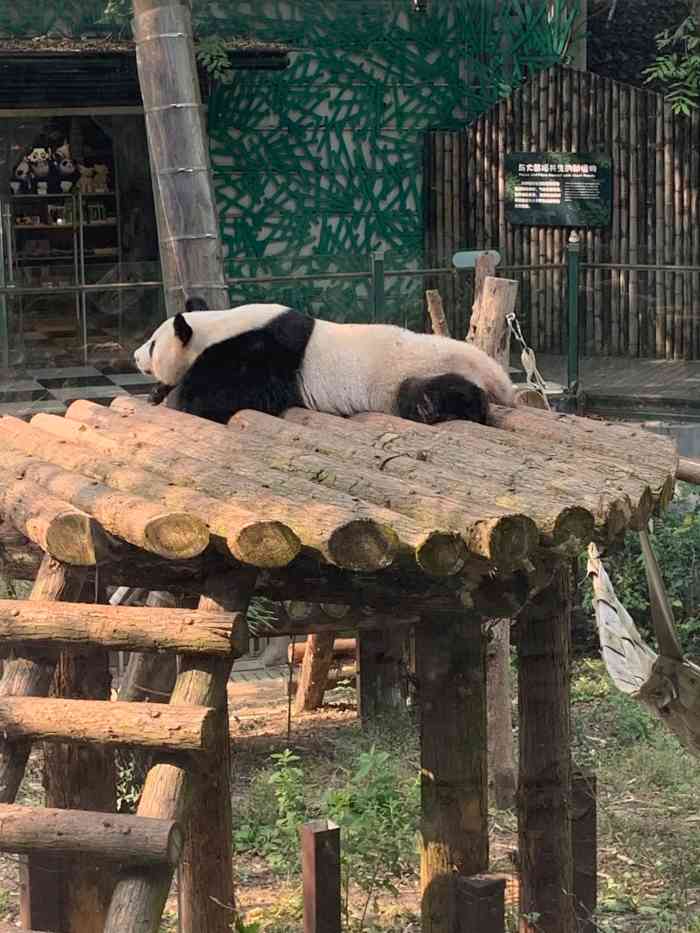 黄梅天的正午来动物园是展现父母伟大爱的极端方式了