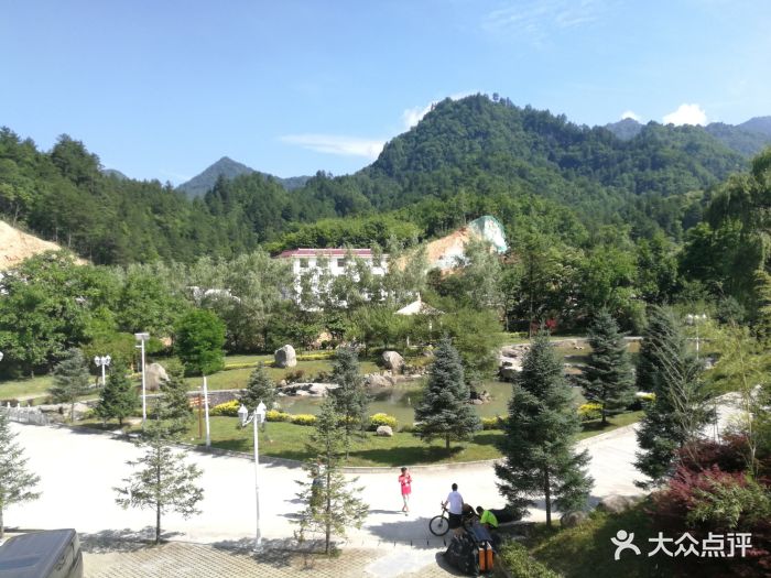 木王国家森林公园-图片-镇安县周边游-大众点评网