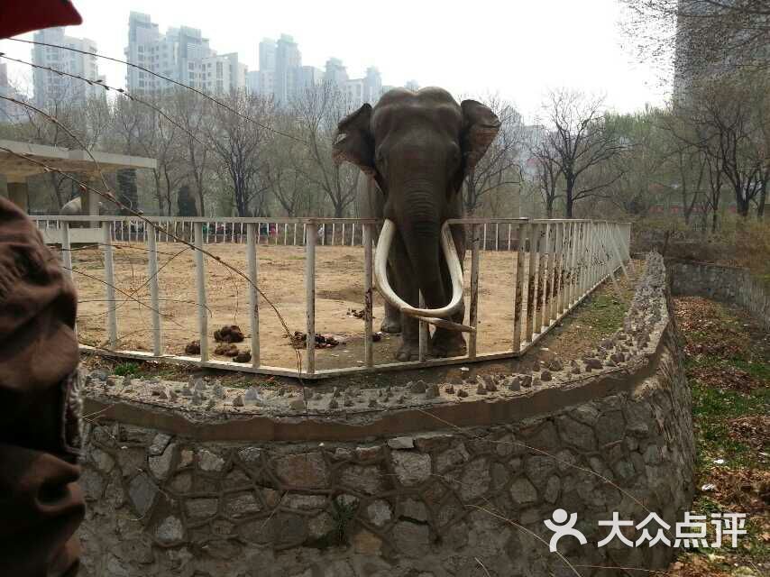 天津动物园