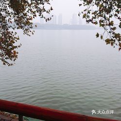 九江有多少人口_九江人口分布图(2)