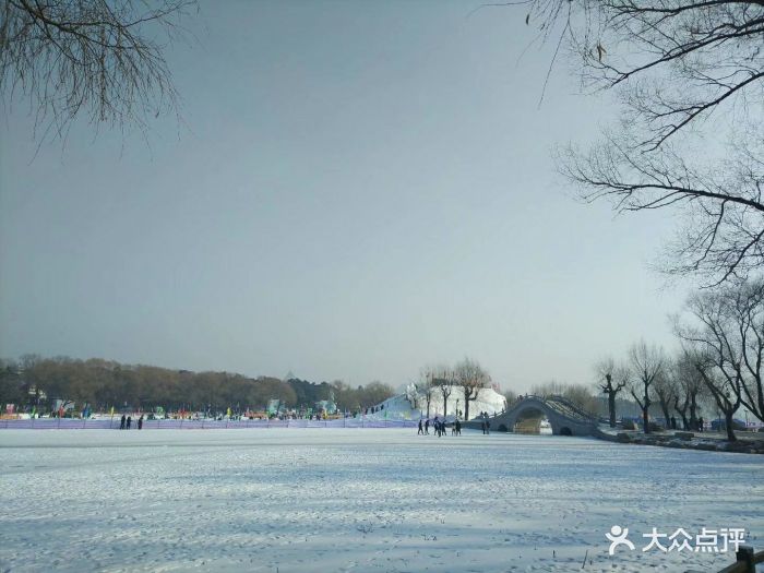 长春市南湖公园雪景图片 - 第1312张