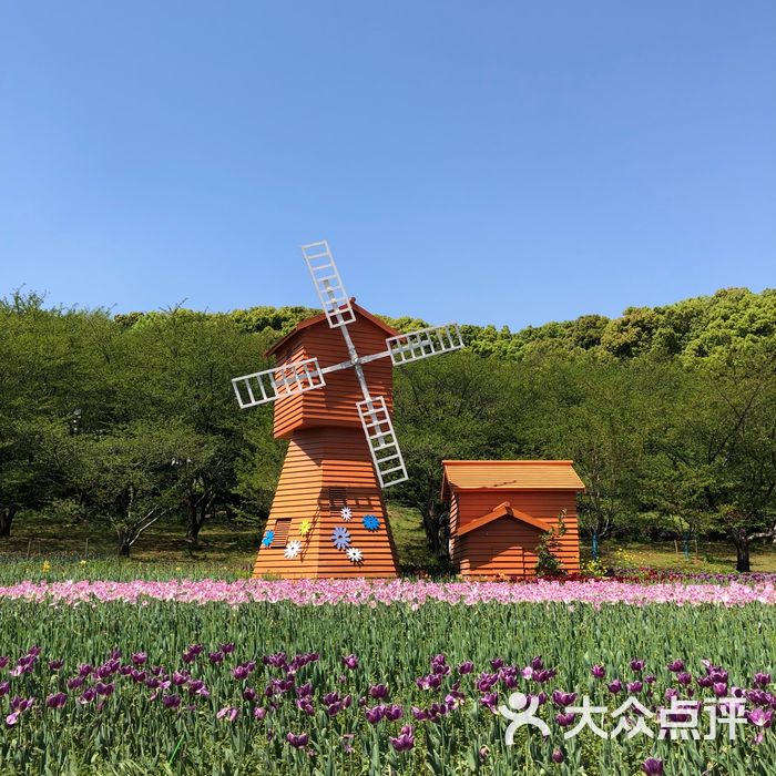 苏州上方山国家森林公园