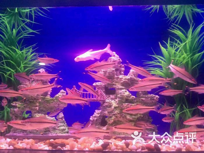 盛贝特海洋水族馆图片 - 第20张