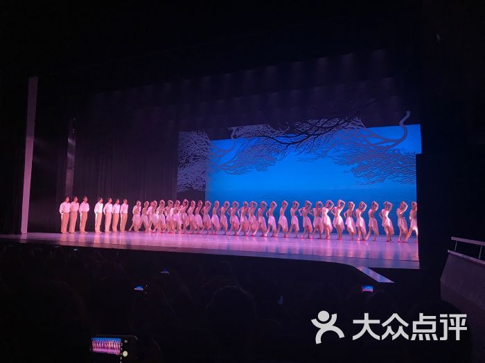 上海国际舞蹈中心图片 - 第4张