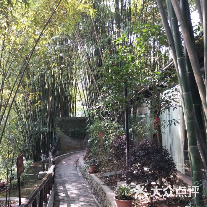 竹海听涛
