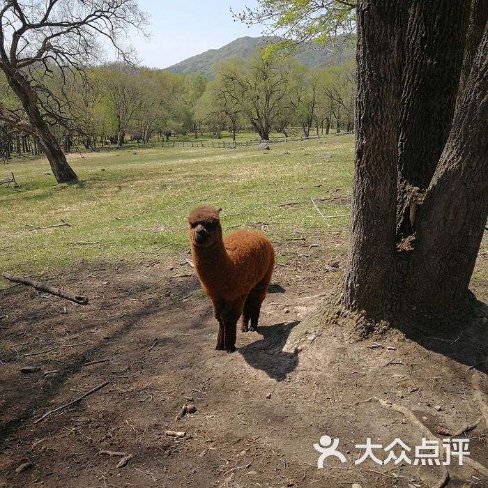 森工平山神鹿旅游区