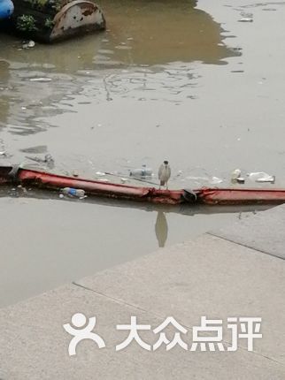 控中心】电话_地址_价格_营业时间_港澳台风