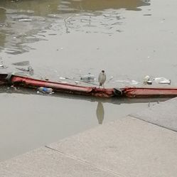 控中心】电话_地址_价格_营业时间_港澳台风