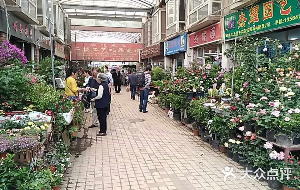 岚灵花鸟市场(灵石路店)图片 - 第140张