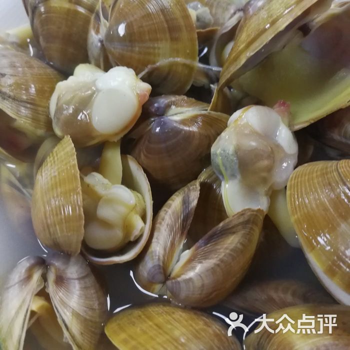 八仙渔港黄蚬子图片-北京海鲜-大众点评网