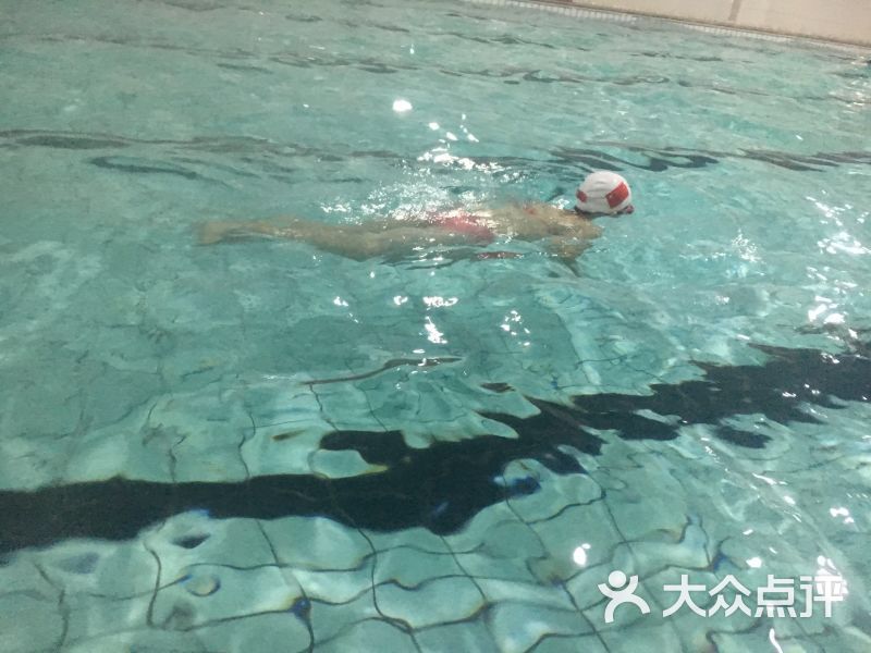 解放大路小学游泳馆-图片-长春运动健身