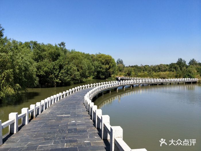 扬州凤凰岛国家湿地公园图片 - 第6张