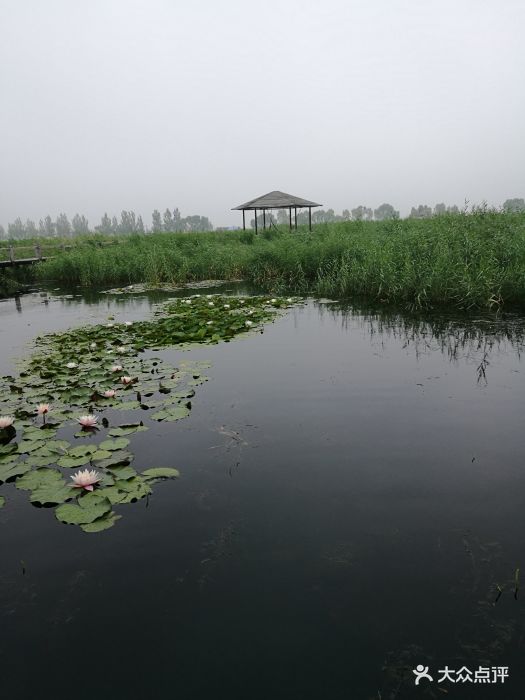 鹤鸣湖湿地温泉风景区图片