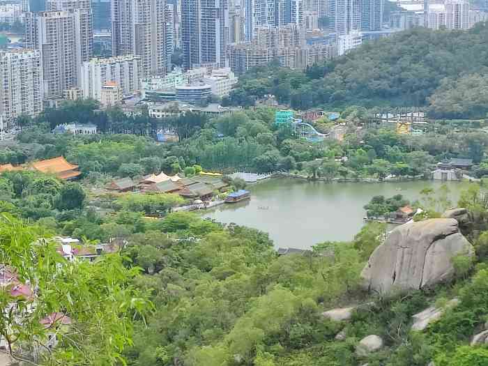 板樟山森林公园"景点名称:板樟山公园 交通:山下就是.