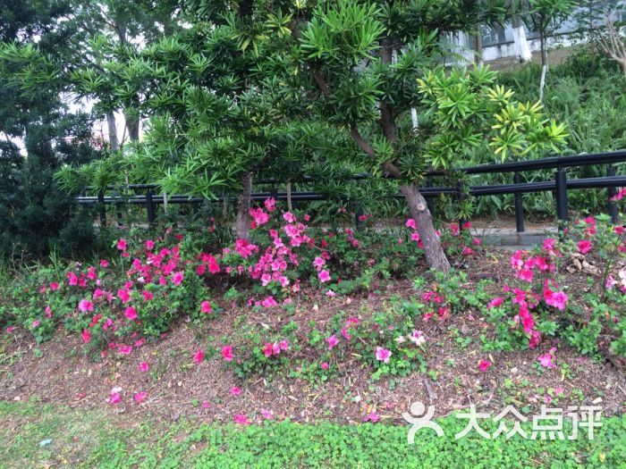 东莞市植物园