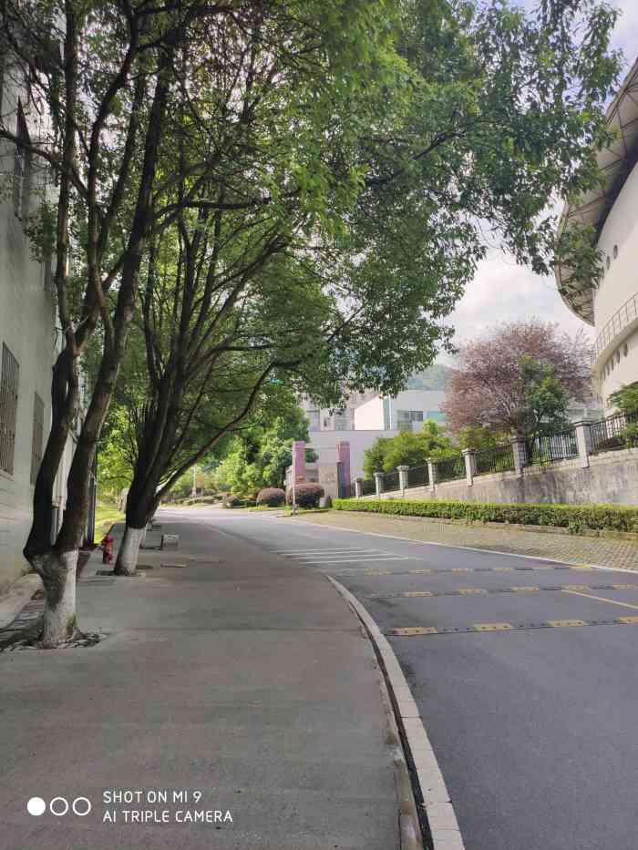 湘南学院(王仙岭校区)-"环境好评,离湖南其他大学太远