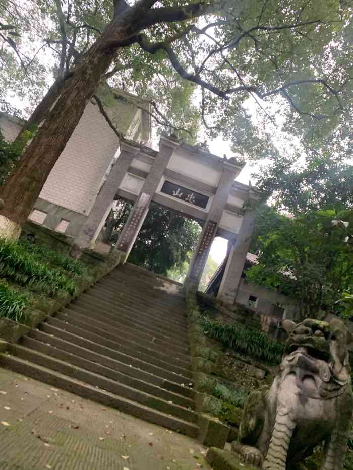 西南医科大学(忠山校区)-"西南医科大学是更名之后的